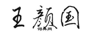 骆恒光王颜国行书个性签名怎么写