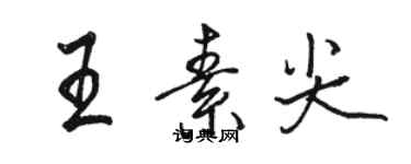 骆恒光王素尖行书个性签名怎么写