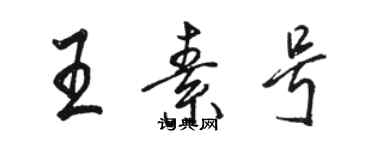 骆恒光王素号行书个性签名怎么写
