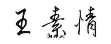 骆恒光王素情行书个性签名怎么写