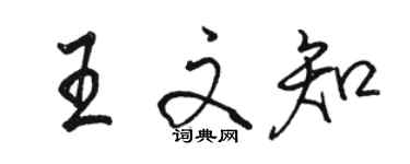 骆恒光王文知行书个性签名怎么写