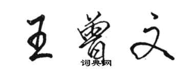 骆恒光王曾文行书个性签名怎么写