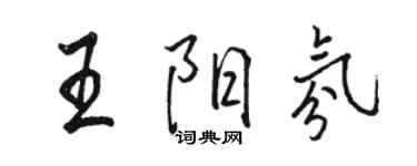 骆恒光王阳氛行书个性签名怎么写