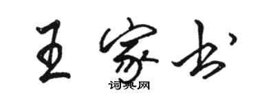 骆恒光王家书行书个性签名怎么写