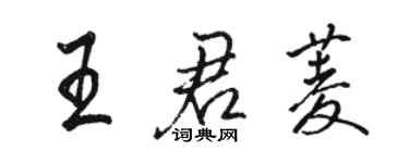 骆恒光王君菱行书个性签名怎么写