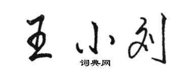 骆恒光王小刘行书个性签名怎么写