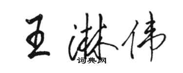 骆恒光王淋伟行书个性签名怎么写