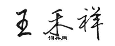 骆恒光王禾祥行书个性签名怎么写