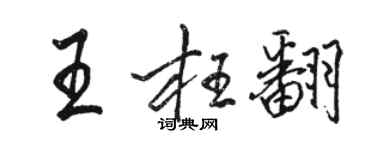 骆恒光王枉翻行书个性签名怎么写