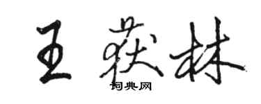 骆恒光王获林行书个性签名怎么写