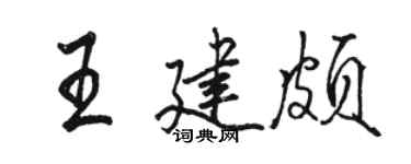 骆恒光王建颇行书个性签名怎么写