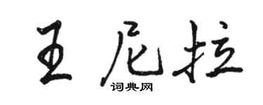 骆恒光王尼拉行书个性签名怎么写