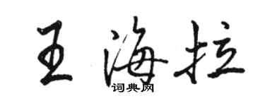 骆恒光王海拉行书个性签名怎么写