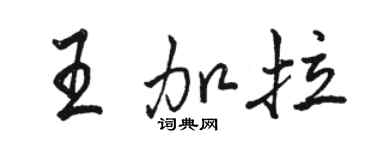 骆恒光王加拉行书个性签名怎么写