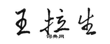 骆恒光王拉生行书个性签名怎么写