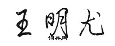 骆恒光王明尤行书个性签名怎么写