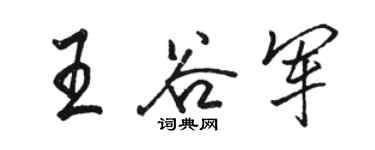 骆恒光王谷军行书个性签名怎么写