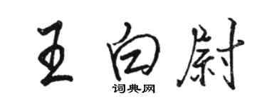 骆恒光王白尉行书个性签名怎么写