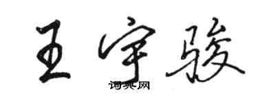 骆恒光王宇骏行书个性签名怎么写