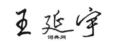 骆恒光王延宇行书个性签名怎么写