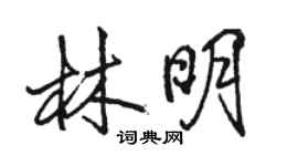 骆恒光林明行书个性签名怎么写