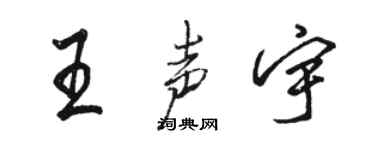 骆恒光王声宇行书个性签名怎么写