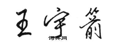骆恒光王宇箭行书个性签名怎么写