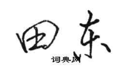 骆恒光田东行书个性签名怎么写