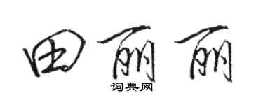 骆恒光田丽丽行书个性签名怎么写