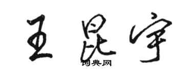 骆恒光王昆宇行书个性签名怎么写