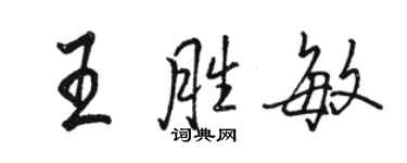 骆恒光王胜敏行书个性签名怎么写