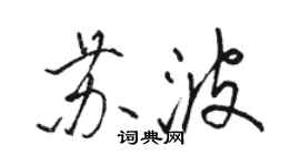 骆恒光苏波行书个性签名怎么写