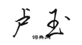 骆恒光卢玉行书个性签名怎么写