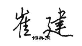 骆恒光崔建行书个性签名怎么写
