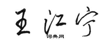 骆恒光王江宁行书个性签名怎么写