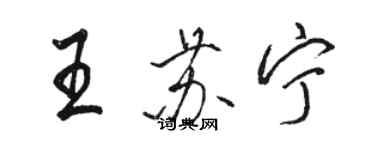 骆恒光王苏宁行书个性签名怎么写