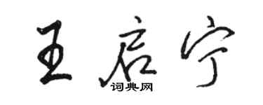 骆恒光王启宁行书个性签名怎么写