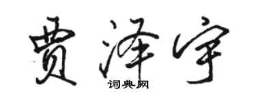 骆恒光贾泽宇行书个性签名怎么写