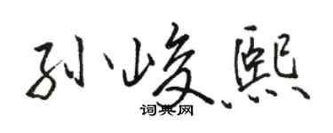 骆恒光孙峻熙行书个性签名怎么写