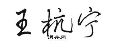骆恒光王杭宁行书个性签名怎么写