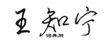 骆恒光王知宁行书个性签名怎么写