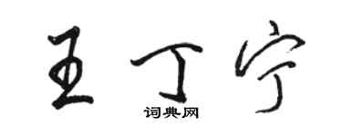 骆恒光王丁宁行书个性签名怎么写