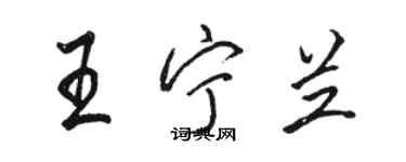 骆恒光王宁兰行书个性签名怎么写