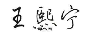 骆恒光王熙宁行书个性签名怎么写