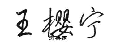 骆恒光王樱宁行书个性签名怎么写