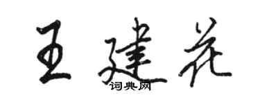 骆恒光王建花行书个性签名怎么写