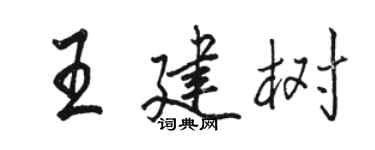 骆恒光王建树行书个性签名怎么写