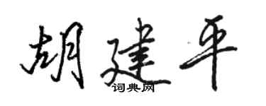 骆恒光胡建平行书个性签名怎么写