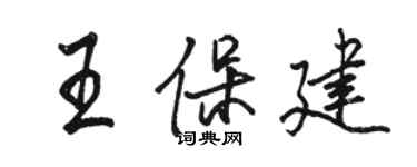 骆恒光王保建行书个性签名怎么写