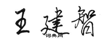 骆恒光王建智行书个性签名怎么写